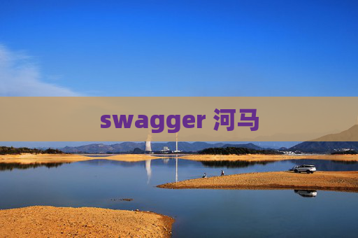 swagger 河马